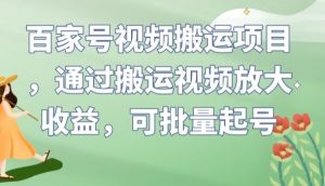 百家号视频搬运项目，通过搬运视频放大收益，可批量起号【揭秘】-无痕资源库