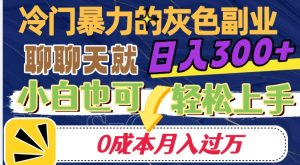 冷门暴利的副业项目，聊聊天就能日入300+，0成本月入过万【揭秘】-无痕资源库