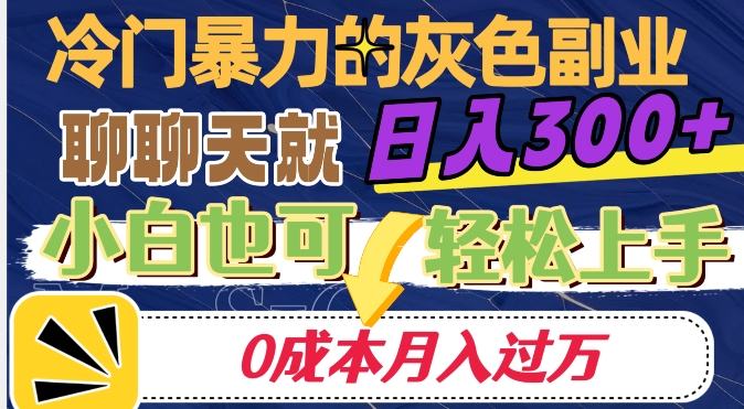 冷门暴利的副业项目，聊聊天就能日入300+，0成本月入过万【揭秘】-无痕资源库