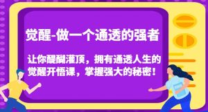 觉醒-做一个通透的强者，让你醍醐灌顶，拥有通透人生的觉醒开悟课，掌握强大的秘密！-无痕资源库
