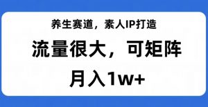 养生赛道，素人IP打造，流量很大，可矩阵，月入1w+【揭秘】-无痕资源库