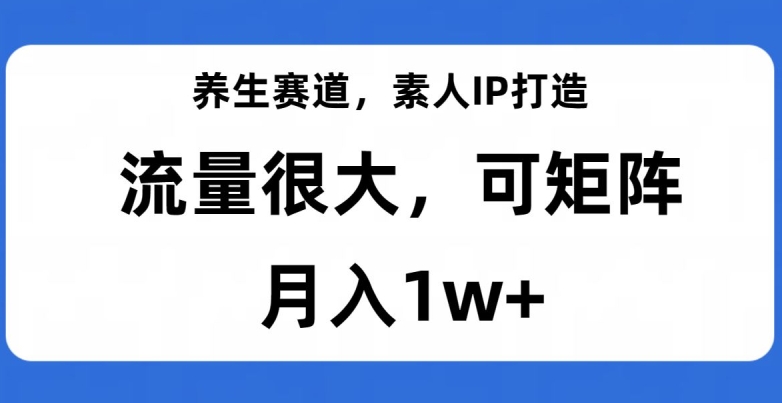 养生赛道，素人IP打造，流量很大，可矩阵，月入1w+【揭秘】-无痕资源库