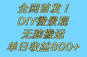 全网首发冷门赛道!DIY微景观,无脑搬运视频,日收益800+【揭秘】-无痕资源库