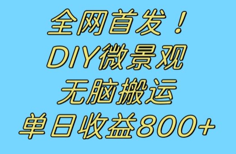 全网首发冷门赛道!DIY微景观,无脑搬运视频,日收益800+【揭秘】-无痕资源库
