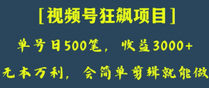 日收款500笔，纯利润3000+，视频号狂飙项目，会简单剪辑就能做【揭秘】-无痕资源库