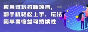 应用试玩拉新项目，一部手机轻松上手，玩法简单高收益可持续性【揭秘】-无痕资源库