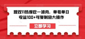 蹭双11热度吃一波肉，单号单日收益100+可复制放大操作【揭秘】-无痕资源库