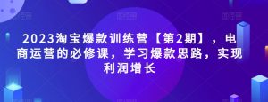 2023淘宝爆款训练营【第2期】，电商运营的必修课，学习爆款思路，实现利润增长-无痕资源库