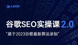 雷子·谷歌SEO 2.0实战课,独立站询盘自由必备,基于2023谷歌最新算法录制-无痕资源库