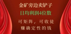 金矿旁边卖铲子，赚确定性的钱，可矩阵，可收徒，日均利润4位数【揭秘】-无痕资源库