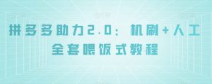拼多多助力2.0：机刷+人工全套喂饭式教程【揭秘】-无痕资源库