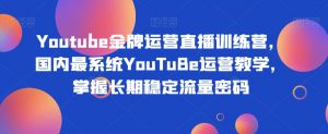 Youtube金牌运营直播训练营,国内最系统YouTuBe运营教学,掌握长期稳定流量密码-无痕资源库