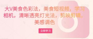 大V美食色彩法，美食短视频，学习相机，清晰透亮灯光法，剪映剪辑，美感调色-无痕资源库