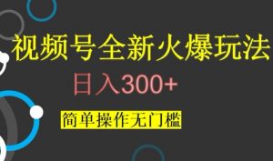 视频号最新爆火玩法，日入300+，简单操作无门槛【揭秘】-无痕资源库