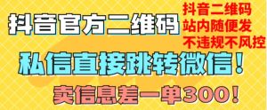 价值3000的技术！抖音二维码直跳微信！站内无限发不违规！-无痕资源库