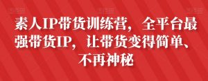 素人IP带货训练营,全平台最强带货IP,让带货变得简单、不再神秘-无痕资源库