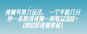 视频号暴力玩法，一个手机几分钟一条原创视频一周收益3800+（附820G视频素材）-无痕资源库