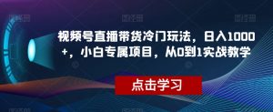 视频号直播带货冷门玩法，日入1000+，小白专属项目，从0到1实战教学【揭秘】-无痕资源库