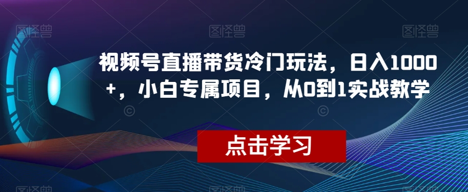 视频号直播带货冷门玩法，日入1000+，小白专属项目，从0到1实战教学【揭秘】-无痕资源库