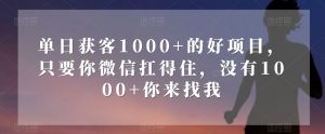 单日获客1000+的好项目，只要你微信扛得住，没有1000+你来找我【揭秘】-无痕资源库