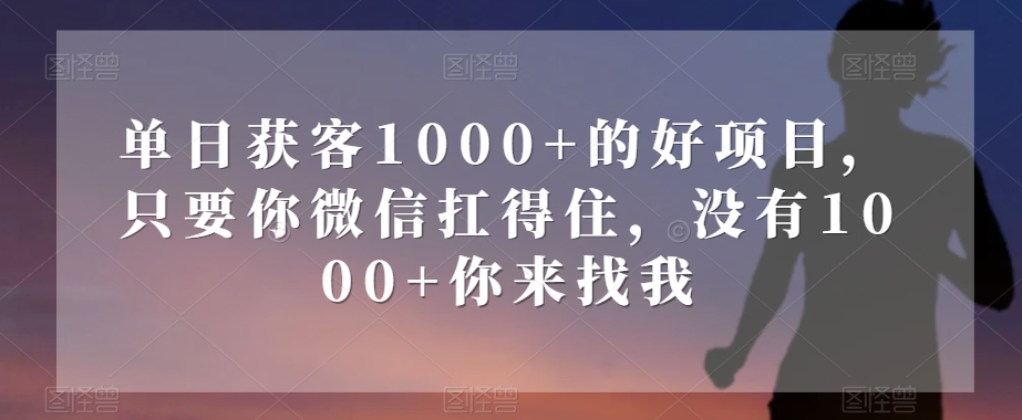 单日获客1000+的好项目，只要你微信扛得住，没有1000+你来找我【揭秘】-无痕资源库