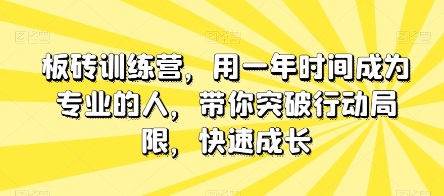 板砖训练营，用一年时间成为专业的人，带你突破行动局限，快速成长-无痕资源库