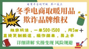 利用电商平台冬季销售取暖用品欺诈行为合理制裁店铺，单日入900+【仅揭秘】-无痕资源库