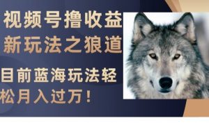 视频号撸收益新玩法之狼道,目前蓝海玩法,轻松月入过万【揭秘】-无痕资源库