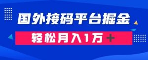 通过国外接码平台掘金：成本1.3，利润10＋，轻松月入1万＋【揭秘】-无痕资源库