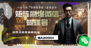 矩阵刷爆微信蝴蝶号创作者分成计划收益的新玩法,日入2000+【揭秘】-无痕资源库