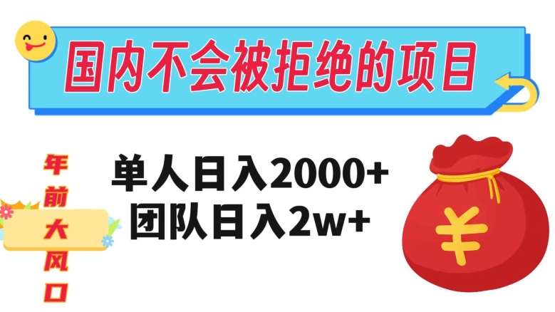 在国内不怕被拒绝的项目，单人日入2000，团队日入20000+【揭秘】-无痕资源库