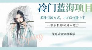 冷门蓝海项目，操作简单，小白3分钟上手，多种引流方式，保姆式全流程教学【揭秘】-无痕资源库