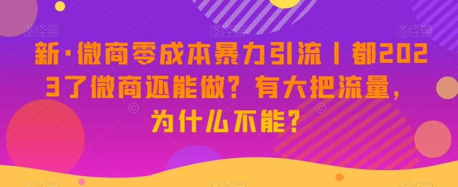 新·微商零成本暴力引流丨都2023了微商还能做？有大把流量，为什么不能？-无痕资源库