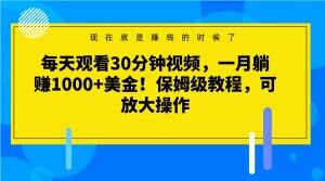 每天观看30分钟视频，一月躺赚1000+美金！保姆级教程，可放大操作【揭秘】-无痕资源库