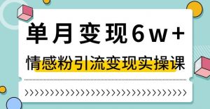 单月变现6W+，抖音情感粉引流变现实操课，小白可做，轻松上手，独家赛道【揭秘】-无痕资源库