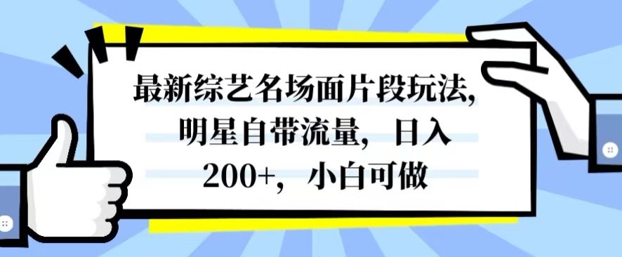 最新综艺名场面片段玩法，明星自带流量，日入200+，小白可做【揭秘】-无痕资源库