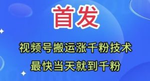 全网首发：视频号无脑搬运涨千粉技术，最快当天到千粉【揭秘】-无痕资源库