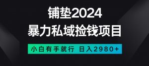 暴力私域捡钱项目，小白无脑操作，日入2980【揭秘】-无痕资源库