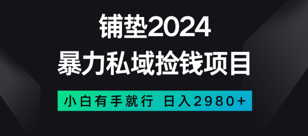 暴力私域捡钱项目，小白无脑操作，日入2980【揭秘】-无痕资源库