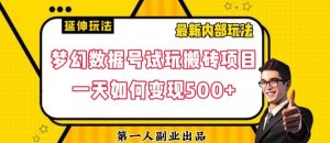 数据号回归玩法游戏试玩搬砖项目再创日入500+【揭秘】-无痕资源库