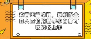 卖莆田篮球鞋，暴利掘金日入四位数新手小白都可以轻松上手【揭秘】-无痕资源库