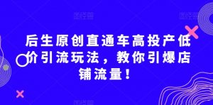 后生原创直通车高投产低价引流玩法，教你引爆店铺流量！-无痕资源库