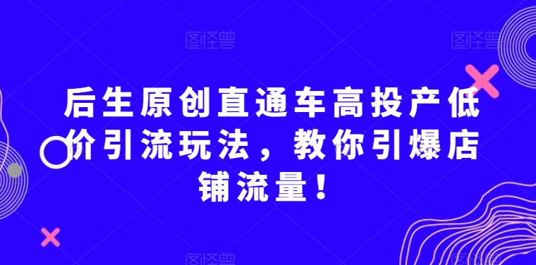 后生原创直通车高投产低价引流玩法,教你引爆店铺流量!-无痕资源库