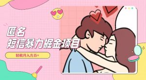 全网首发，揭秘超冷门匿名短信项目，通过信息差日入几百+【揭秘】-无痕资源库