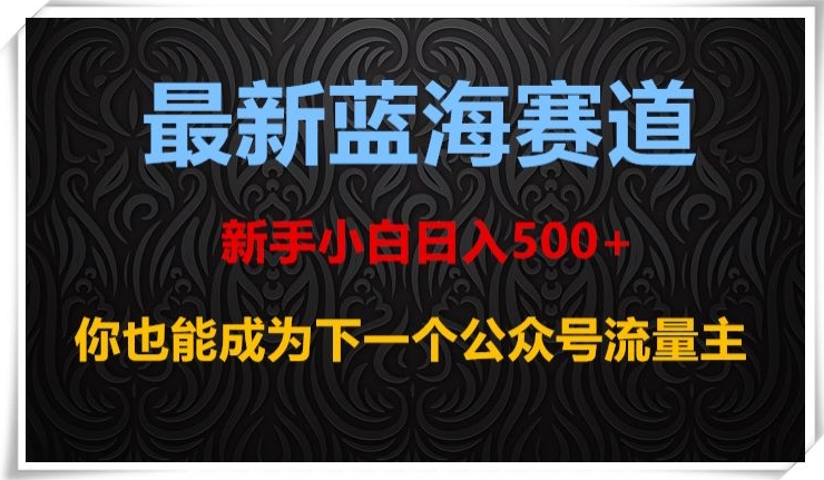 最新蓝海赛道，新手小白日入500+，你也能成为下一个公众号流量主【揭秘】-无痕资源库