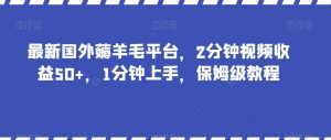 最新国外薅羊毛平台，2分钟视频收益50+，1分钟上手，保姆级教程【揭秘】-无痕资源库