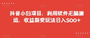 抖音小白项目，利用软件无脑搬运，收益裂变玩法日入500+【揭秘】-无痕资源库