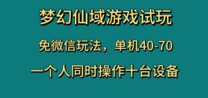 梦幻仙域游戏试玩，免微信玩法，单机40-70，一个人同时操作十台设备【揭秘】-无痕资源库