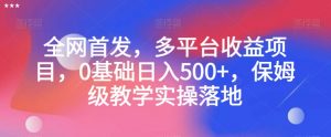 全网首发，多平台收益项目，0基础日入500+，保姆级教学实操落地【揭秘】-无痕资源库
