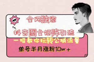 全网独家抖音图文矩阵引流，一招教你玩转公域流量，单号半月涨粉10w+【揭秘】-无痕资源库